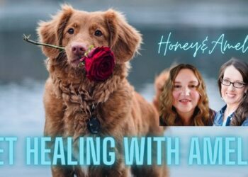 Healing our Pets, Our Fur Babies and Ascension, With Amelia, and Honey