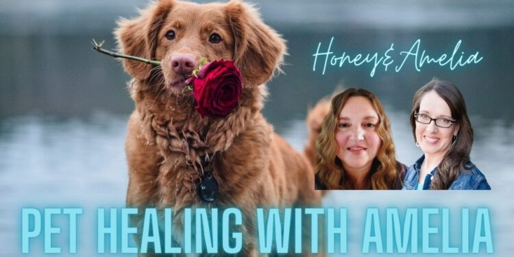Healing our Pets, Our Fur Babies and Ascension, With Amelia, and Honey