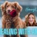 Healing our Pets, Our Fur Babies and Ascension, With Amelia, and Honey