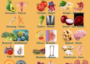 How about rebuilding the human body free of quackccines, glyphosate, atrazine, high fructose corn syrup, preservatives,…