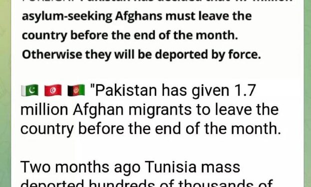 How many of them are going to end up on the Southern Border of the USSA?