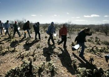 In US, Concern Over An Increasing Number Of Boy Victims Of Human Trafficking