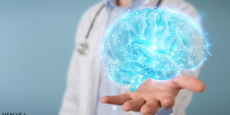 Key Micronutrients for Brain Health