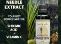 🌲Pine Needle Tincture 🌲Pine needles are an excellent source of shikimate, vitamin C, minerals, trace minerals, protein…