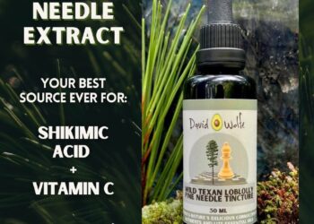 🌲Pine Needle Tincture 🌲Pine needles are an excellent source of shikimate, vitamin C, minerals, trace minerals, protein…