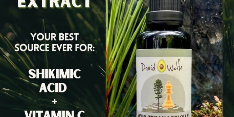 🌲Pine Needle Tincture 🌲Pine needles are an excellent source of shikimate, vitamin C, minerals, trace minerals, protein…