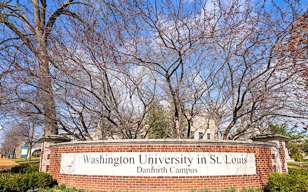 Prof. Claims Washington U. Axed Him Over Anti-Hamas Post