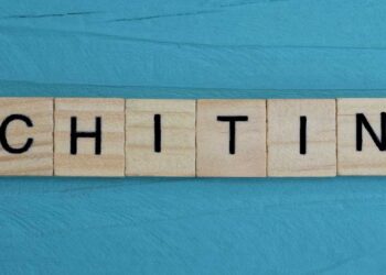 Should You Start Eating Chitin?