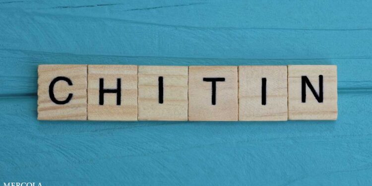 Should You Start Eating Chitin?