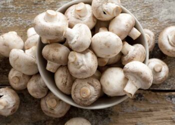 This Mushroom Compound May Help Boost Longevity