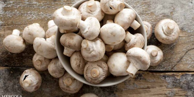 This Mushroom Compound May Help Boost Longevity