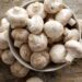 This Mushroom Compound May Help Boost Longevity