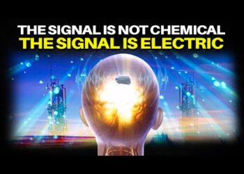 WOW! Pineal Gland Microcrystals Resonate with Mobile Telecom Frequencies!