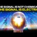 WOW! Pineal Gland Microcrystals Resonate with Mobile Telecom Frequencies!