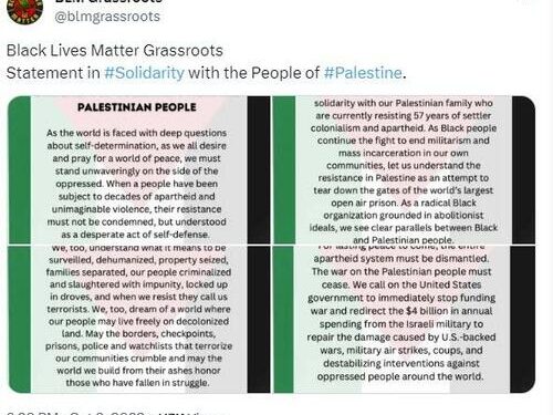 “Your Position Is Clear” – Musk Slams Terrorist-Supporting BLM Posts