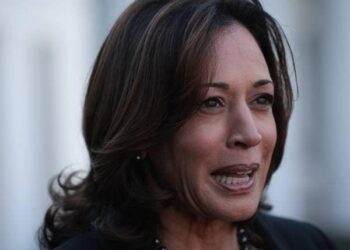 Gas Stoves for Kamala, Not for Thee