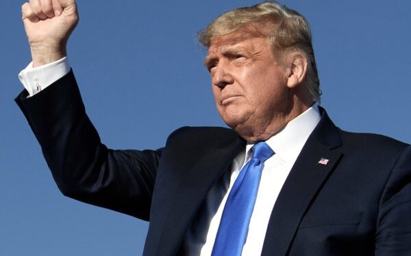 Trump to Judge: Leave My Kids Alone