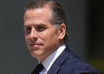 Gun Prosecutors Balk at Hunter Push for Trump Docs