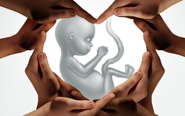 Alabama Supreme Court Rules Embryos Are Children