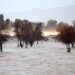 California Braces for More Heavy Rain, Possibly Tornadoes