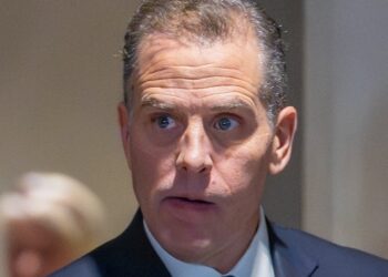 Defying Evidence, Hunter Blasts GOP, Insists Dad Not Involved in Business