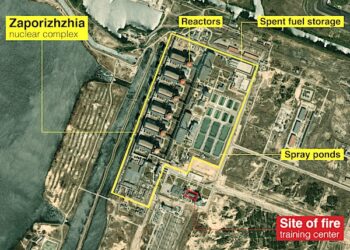 Nuclear Chief Grossi to Discuss Zaporizhzhia Plant With Putin